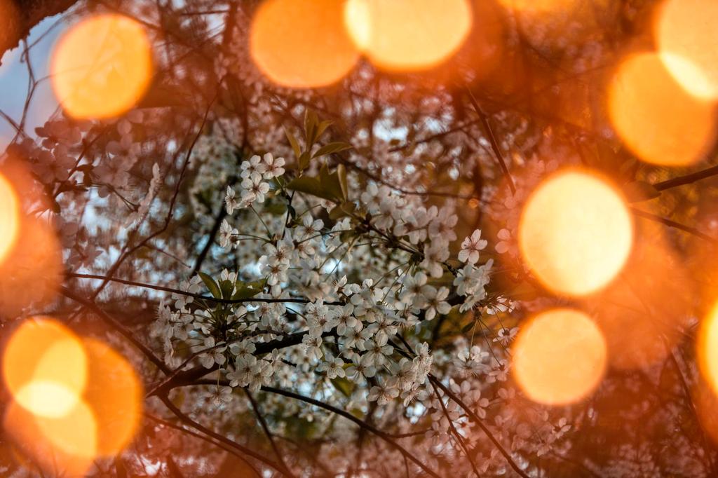 Calm evening space with soft lighting